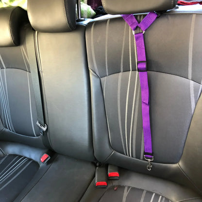 Car Backseat Safety Seat Belt Leash